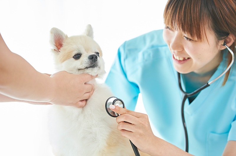 株式会社きずな縁様